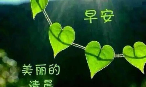 是身体好的表现呢-产后三个月来月经不好网 - 产后三个月来月经不好怎么回事,产后三个月来月经正常吗